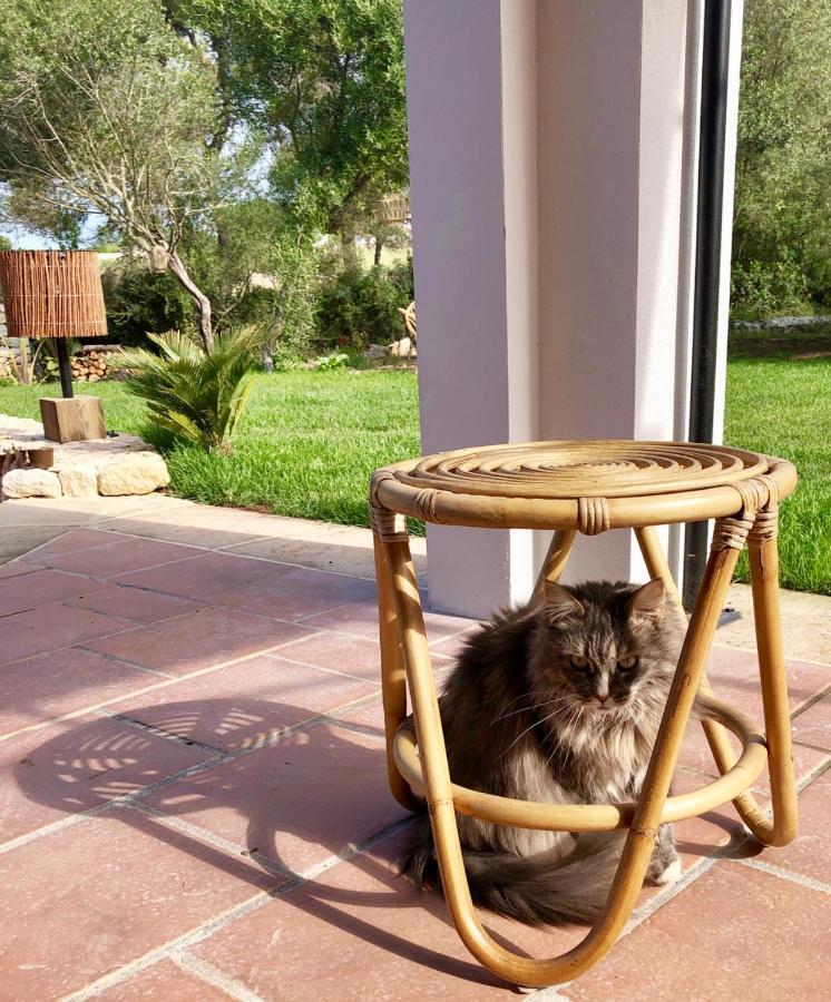 La Casa Menorca Hotell Ferreries Exteriör bild